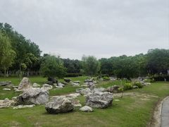 -春花秋色城市公园