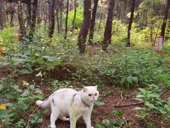 -沈阳辉山风景区