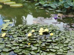 -国家植物园南园