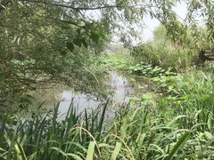 -长兴太湖图影湿地文化园