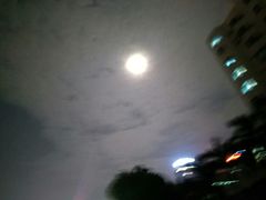 -椰爺爺·椰子冻砵仔糕