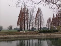 -蜀绣公园