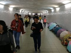 -锦江乐园(地铁站)