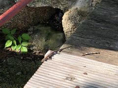 -丹东天桥沟景区