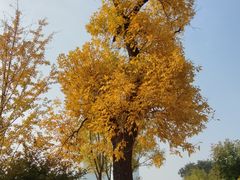 -西海子公园