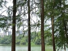 -重庆彩云湖湿地公园