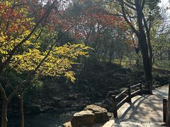 -宝岩生态观光园