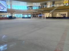 -冠军冰场CHAMPION RINK(苏州中心商场店)