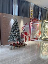 -深圳美莱医疗美容医院