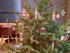 -Wagas沃歌斯(大学路店)