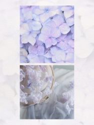 点击看大图 -WECOUTURE高级订制广州