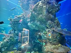 -新加坡水上探险乐园