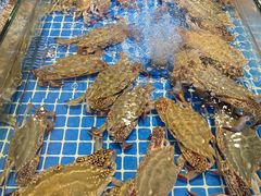 -驻海渔市(置信店)