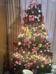 -上海玫瑰医疗美容医院