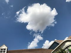 -伦敦比斯特购物村