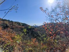 -北京西山国家森林公园