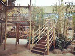 -杭州开元森泊度假乐园