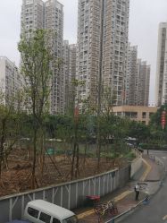 点击看大图 -可爱多国际儿童摄影会馆(龙泉店)