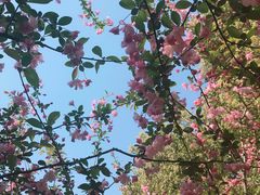 -白塘生态植物园