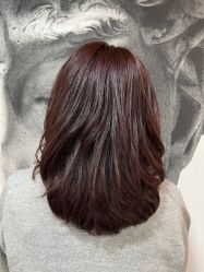 -悦SALON