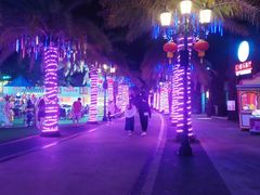 -三亚海昌梦幻海洋不夜城