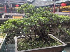 -自贡市盐业历史博物馆