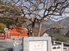 -潭柘寺景区