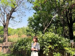 -Supine Bistro溯泮餐厅