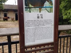 -南昌动物园