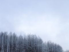 -太子岭滑雪场