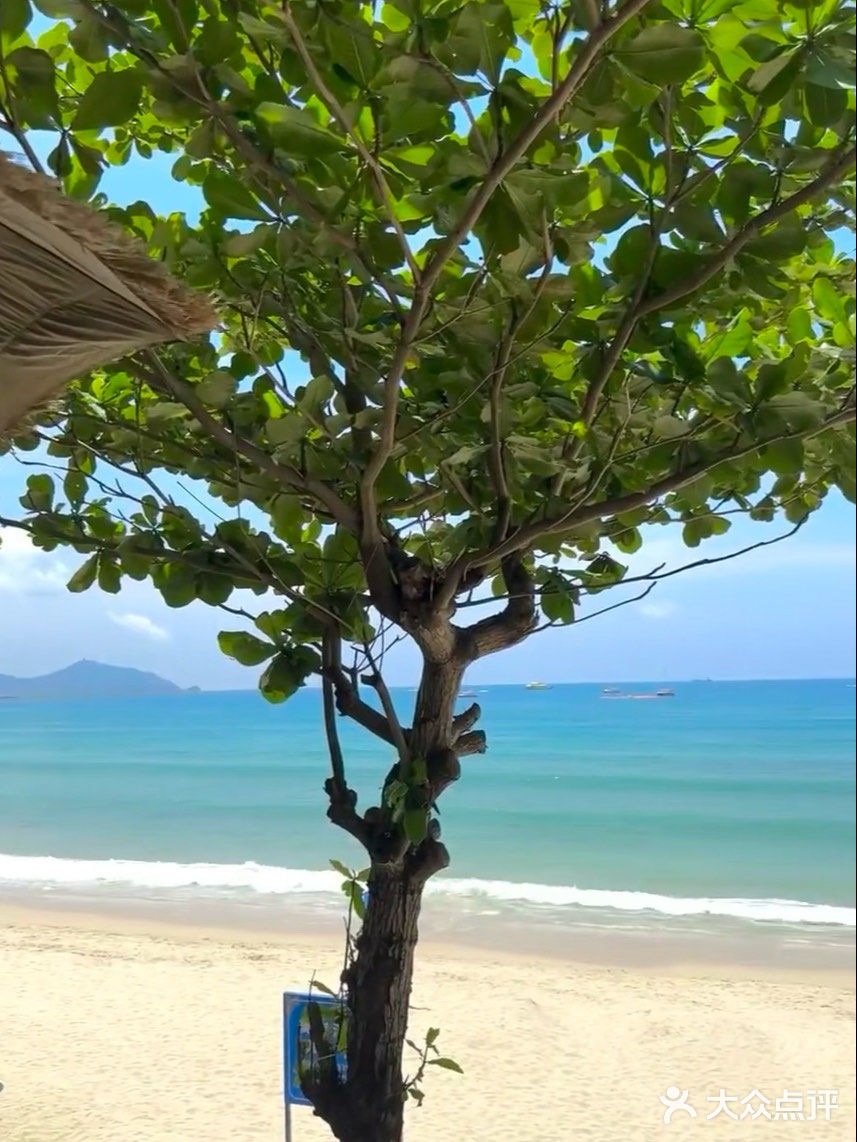 海岸线上的美味邂逅