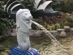 景点-南宫五洲植物乐园