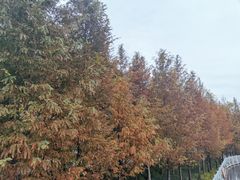-上海山野camping·户外天幕烧烤·团建拓展营地