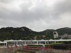 -厦门国家会计学院