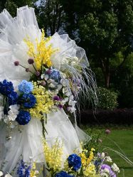 -琥珀婚礼策划AMBER WEDDING