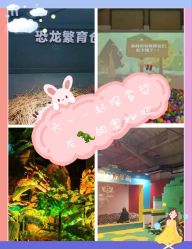 -恐龙探索乐园(磁器口店)