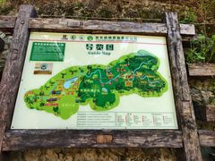 -西双版纳原始森林公园