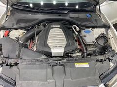 -CJ车体工作室·洗车·贴膜·美容