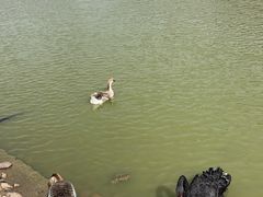 -无锡动物园·太湖欢乐园