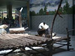 -西安秦岭野生动物园