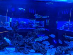 -上和臻品中国菜(花园街店)