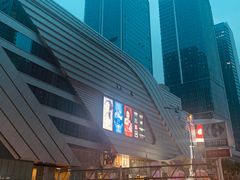 -大龙火锅(老店)