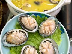 -金龙·打边炉(武进路店)