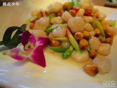 鲜莲子水晶虾仁-金陵一哥龙虾(水木秦淮店)