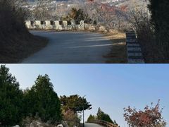 -府君山公园