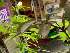 -璐坊粽王(复兴中路店)