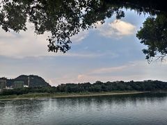 -金顺昌桂林桂花伴手礼(正阳一店)