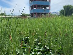 -河北村民俗体验园