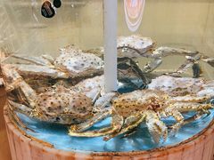 -顺峰(农展馆店)