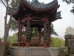 -洛阳市隋唐城遗址植物园